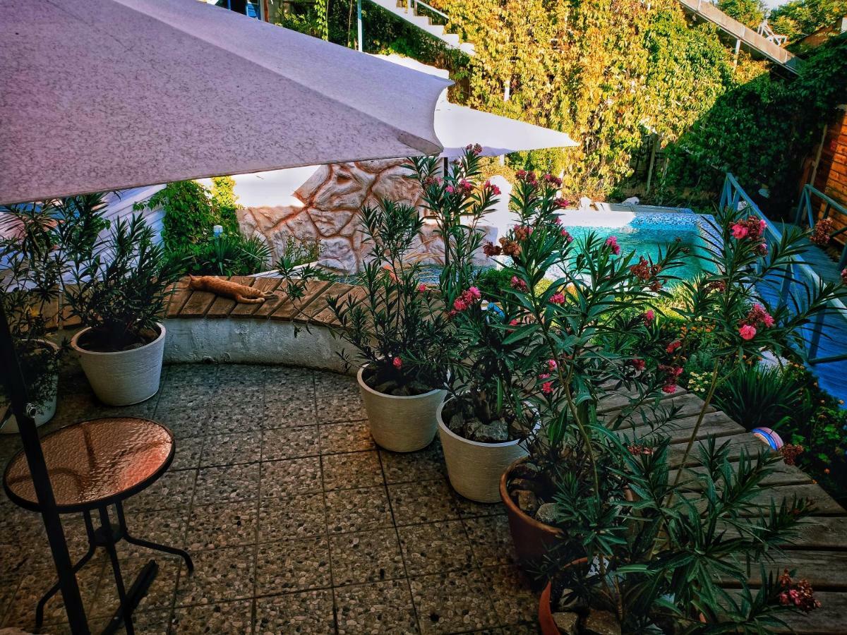 Sapar Standart Hotel Simkent Buitenkant foto